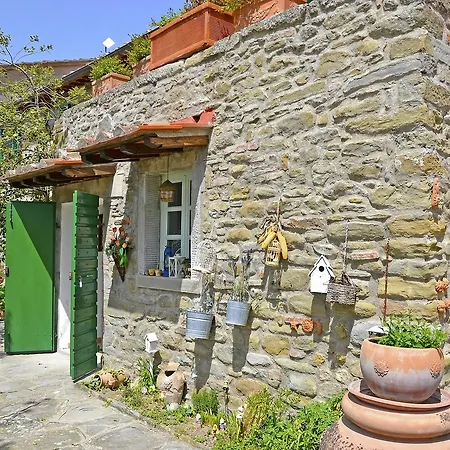 Celeste * Cortona